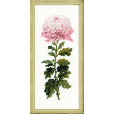 Набір для вишивки Риолис 1425 "Ніжний квітка"