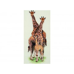 Набор для вышивки Anchor PCE740 "Семья жирафов"