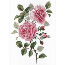 Набір для вишивання М.П.Cтудія НВ-541 Садові троянди