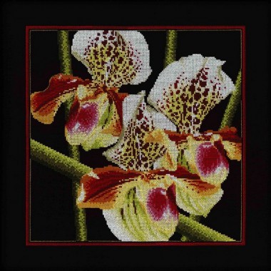 Набор для вышивания RTO M263 "Орхидеи Пафиопедилум (Венерин башмачок)"