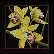 Набор для вышивания RTO M264 "Орхидеи Цимбидиум"