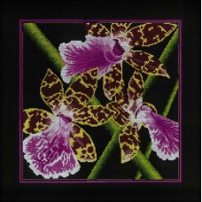 Набор для вышивания RTO M265 "Орхидеи Зигопеталум"