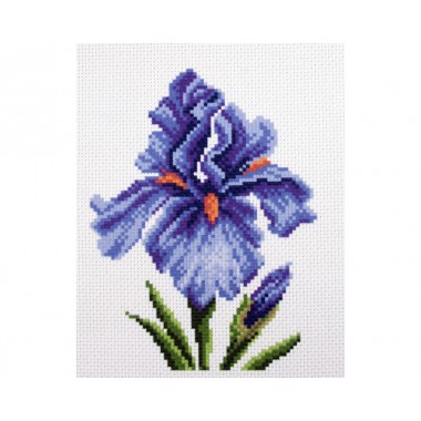 Канва з малюнком Collection D'Art Аїда PA1442 "Irises"