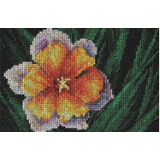 Набор для вышивания Panna Ц-0409 Экзотический цветок