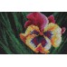 Набор для вышивания Panna Ц-0410 Яркий цветок